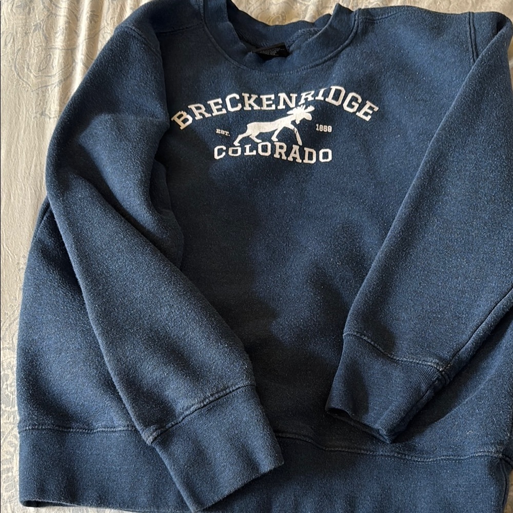 Blue Crewneck Sweatshirt  with Classic Design.